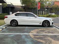 BMW 5 Series 530Li Premier M Sport Package - ფოტო 8