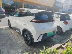 BYD Seagull Freedom Edition - photo 11