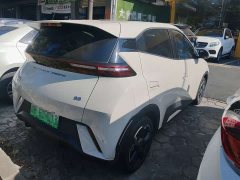 BYD Seagull Freedom Edition - photo 4