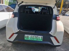BYD Seagull Freedom Edition - photo 8