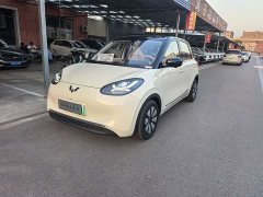 Wuling Binguo 333km Lingxi Premium Edition - ფოტო 1