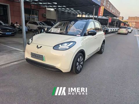2026 Wuling Binguo 333km Lingxi Premium Edition
