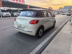 Wuling Binguo 333km Lingxi Premium Edition - ფოტო 12