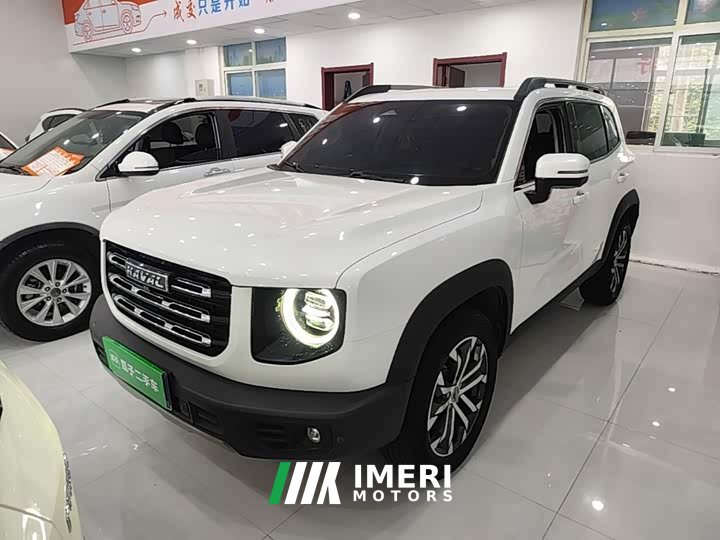 Great Wall Dachshund 1.5T DCT Two-Wheel Drive Border Collie Edition - ავტომობილი ჩინეთიდან