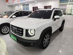 Great Wall Dachshund 1.5T DCT Two-Wheel Drive Border Collie Edition - ფოტო 1