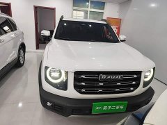 Great Wall Dachshund 1.5T DCT Two-Wheel Drive Border Collie Edition - ფოტო 2