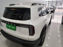 Great Wall Dachshund 1.5T DCT Two-Wheel Drive Border Collie Edition - ფოტო 5
