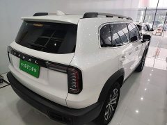 Great Wall Dachshund 1.5T DCT Two-Wheel Drive Border Collie Edition - ფოტო 6