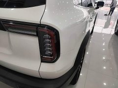 Great Wall Dachshund 1.5T DCT Two-Wheel Drive Border Collie Edition - ფოტო 7