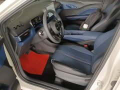 BYD Seagull Smart Drive 305km Vitality Edition - photo 14