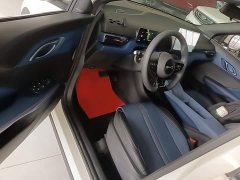 BYD Seagull Smart Drive 305km Vitality Edition - photo 15
