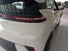 BYD Seagull Smart Drive 305km Vitality Edition - photo 7