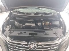 Buick GL8 Land Executive Cabin 652T Luxury - ფოტო 19