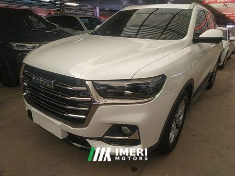 2022 Haval H6 National Trend 1.5T Automatic Champion Edition - ავტომობილი ჩინეთიდან