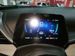 BYD Yuan Plus Glory Edition 510KM Transcend - ფოტო 11
