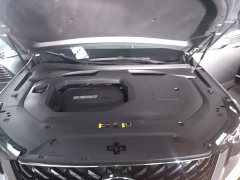 GAC Aion GS8 Pioneer Series 2.0T GDI FWD Luxury Edition 7-Seater - photo 19