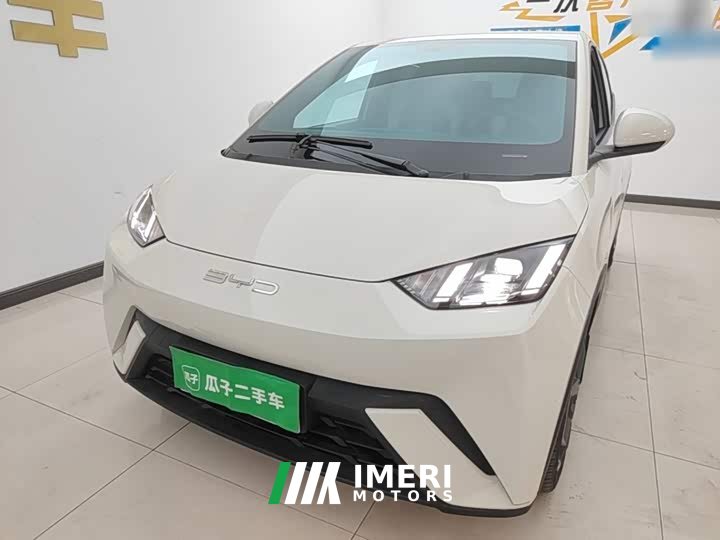 BYD Seagull Freedom Edition - ავტომობილი ჩინეთიდან