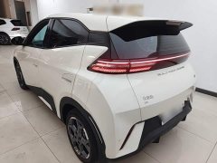 BYD Seagull Freedom Edition - ფოტო 4