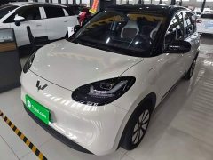 Wuling Binguo 333km Joy Edition - ფოტო 1