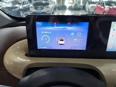 Wuling Binguo 333km Joy Edition - ფოტო 11