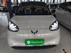 Wuling Binguo 333km Joy Edition - ფოტო 2