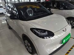 Wuling Binguo 333km Joy Edition - ფოტო 3