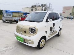 FAW Besturn Xiaoma 222km Dynamic Edition - ფოტო 1