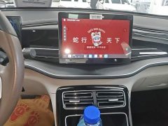BYD Qin PLUS Champion Edition DM-i 120KM Leading - ფოტო 12