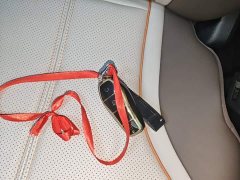 BYD Qin PLUS Champion Edition DM-i 120KM Leading - ფოტო 8