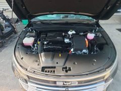 BYD Destroyer 05 Glory Edition DM-i 55KM Luxury - фото 19