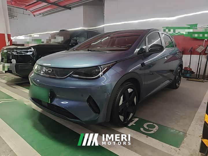 BYD Dolphin Smart Driving Edition 520km Knight Edition
