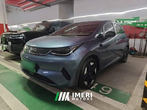 2025 BYD Dolphin Smart Driving Edition 520km Knight Edition - автомобиль из Китая