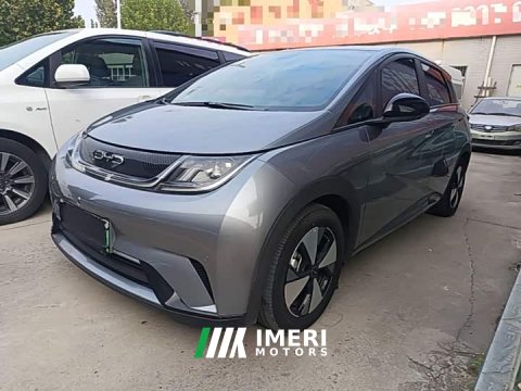 2023 BYD Dolphin 420km Fashion Edition - ავტომობილი ჩინეთიდან