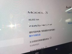 Tesla Model 3 Rear-Wheel Drive - ფოტო 11