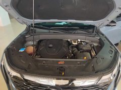 Geely Boyue L 2.0TD DCT Luxury - ფოტო 19