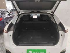 XPeng G6 700 AWD Performance Max - photo 18