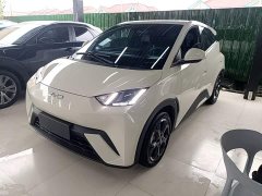 BYD Seagull 305km Freedom Edition - ფოტო 1