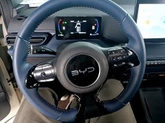BYD Seagull 305km Freedom Edition - ფოტო 10