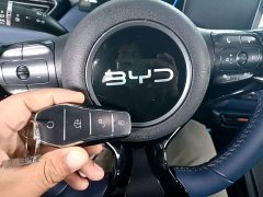 BYD Seagull 305km Freedom Edition - ფოტო 8