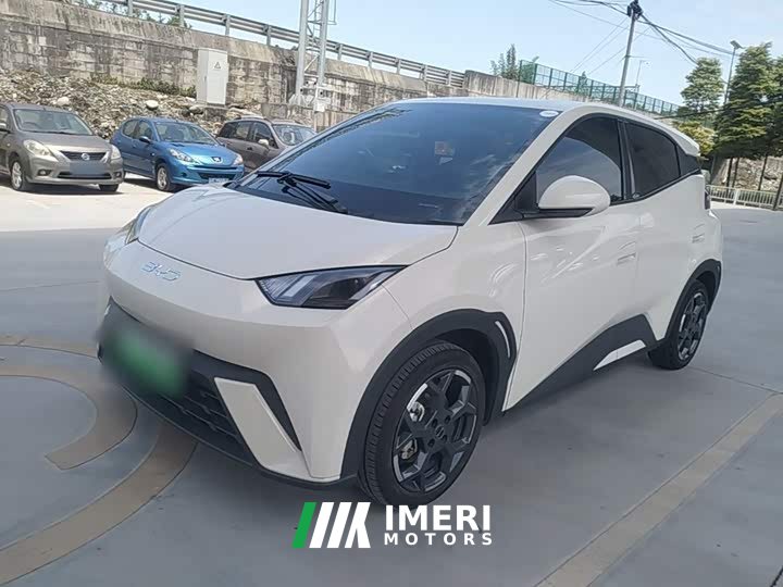 BYD Seagull 305km Freedom Edition - ავტომობილი ჩინეთიდან