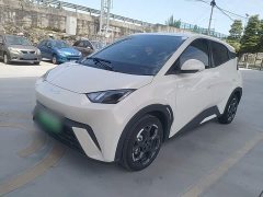 BYD Seagull 305km Freedom Edition - ფოტო 1