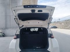 BYD Seagull 305km Freedom Edition - ფოტო 14