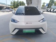 BYD Seagull 305km Freedom Edition - ფოტო 2