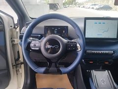 BYD Seagull 305km Freedom Edition - ფოტო 6