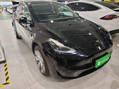 Tesla Model Y Facelift Rear-Wheel Drive - ფოტო 3