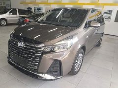 Buick GL8 Land Executive Cabin 652T Luxury - photo 1