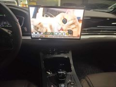 BYD Han DM AWD Performance Luxury - ფოტო 12