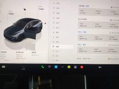 Tesla Model Y Rear-Wheel Drive Launch Edition - ფოტო 11