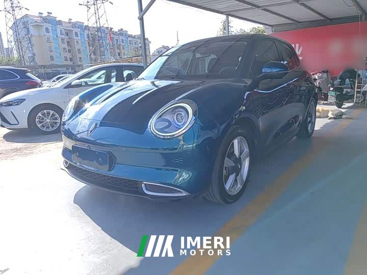 ORA Good Cat 400km Standard Range Athena Edition LFP Battery - ავტომობილი ჩინეთიდან