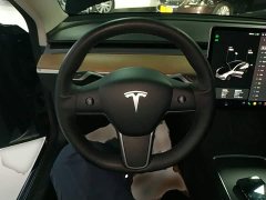 Tesla Model 3 Performance All-Wheel Drive - фото 10